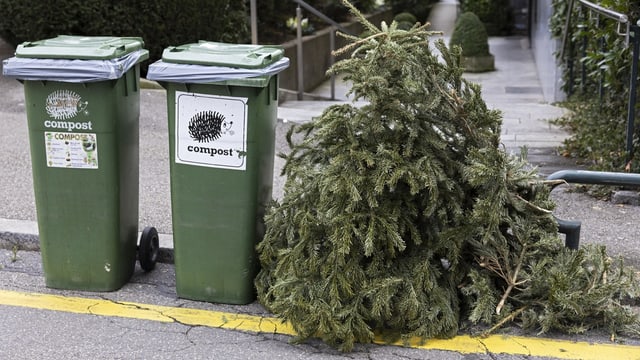 Ein Tannenbaum liegt neben grünen Abfallcontainern.