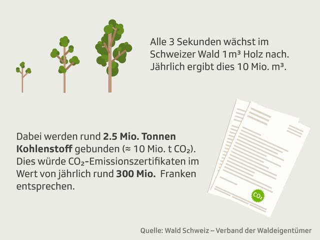 Eine Grafik, die zeigt, dass alle 3 Sekunden im Schweizer Wald ein Kubikmeter Holz nachwächst. 