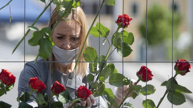 Katarzyna Goral commemorates 75 red roses on a border fence at the Old Town Bridge on the Polish border in Zgorzelec.