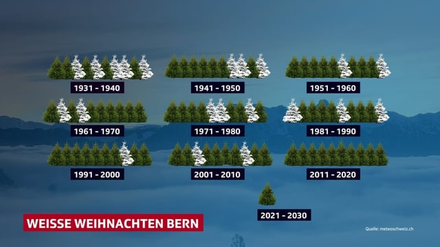 Weisse und grüne Tannen, die für weisse oder grüne Weihnachten stehen.