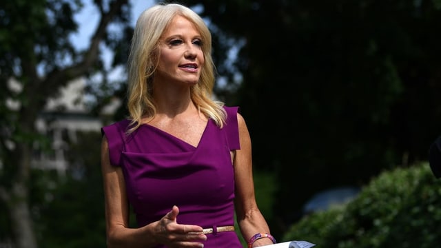 Conway spricht in einem violetten Kleid zu Reportern.