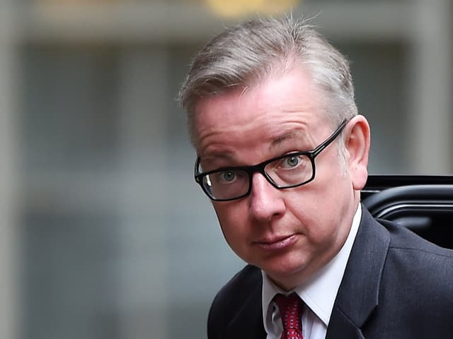 Michael Gove im Porträt.