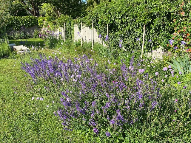 Die Blumenwiese von Margret Walder