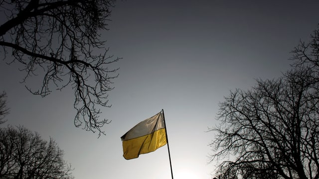 Ukrainische Flagge