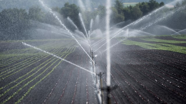 Wassersprenger.