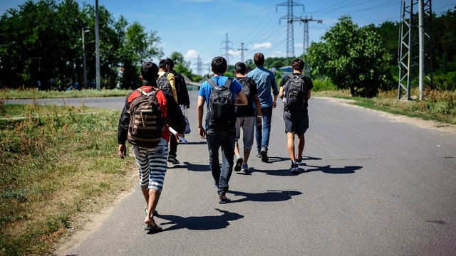 Eine Gruppe junger Männer mit Rucksäcken auf einer Landstrasse, weiter weg stehen Hochspannungsmasten.