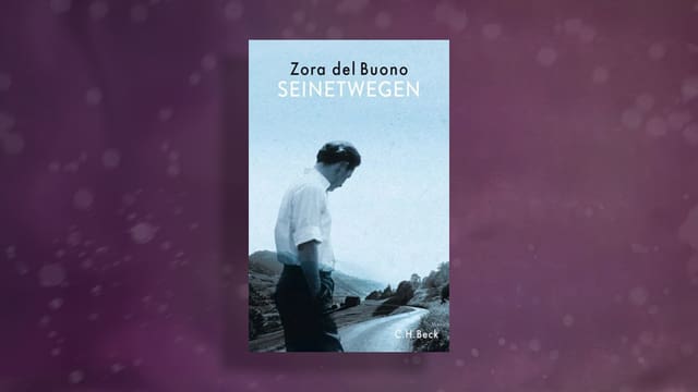 Buchcover von Zora del Buono 'Seinetwegen'.