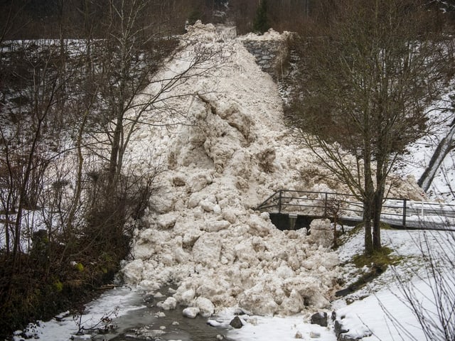 Avalanche in Uri next to the forest.