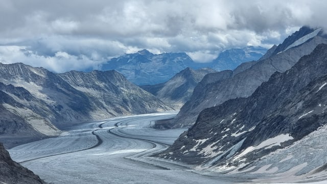 Blick auf den ausgeaperten Aletschgletscher am 31. Juli.