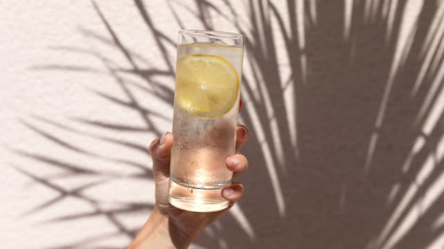 Ein Glas Wasser mit Zitronenschnitz wird hochgehalten.