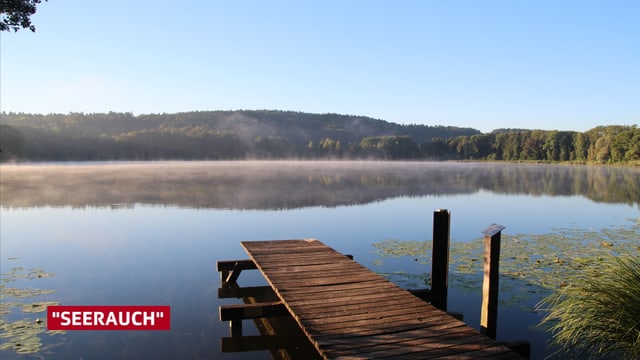 Nebelschwaden steigen aus dem See auf.