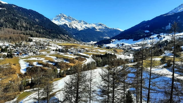 Schneeerste, grüne Wiese und blauer, wolkenloser Himmel.