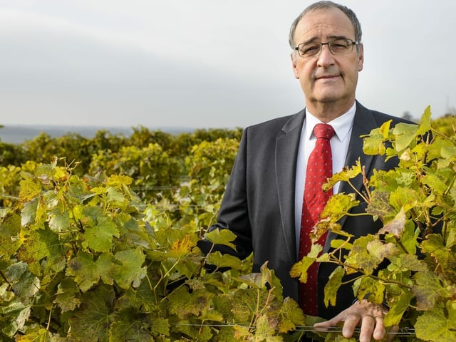 Guy Parmelin is in his vineyard in Bursins VD.