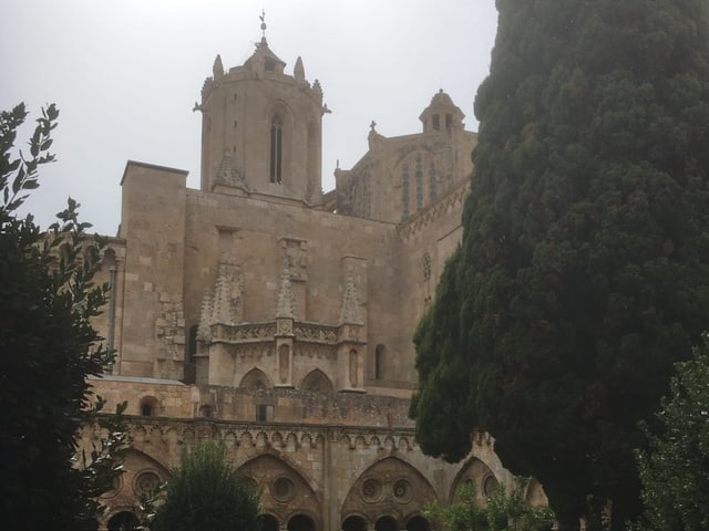 Eine grosse Kathedrale, umgrünt. 