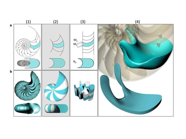 Vier Diagramme mit spiralförmigen und fliessenden Mustern in Türkis und Weiss.