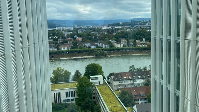 Blick aus Roche-Hochhaus