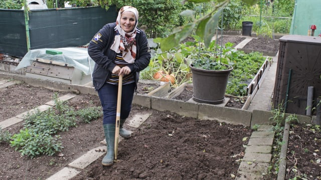 Eine Frau mit Kopftuch und Stiefel pflügt ein Beet.