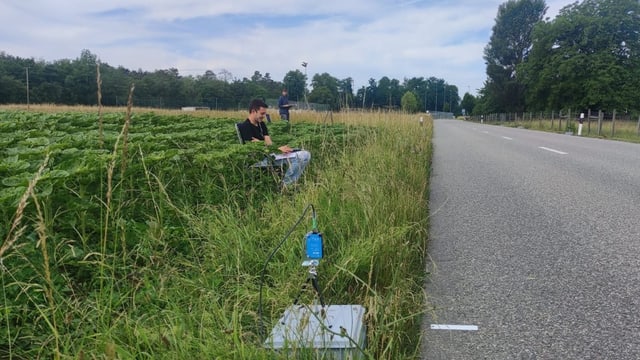 Ein Mann sitzt in einem Feld am Strassenrand