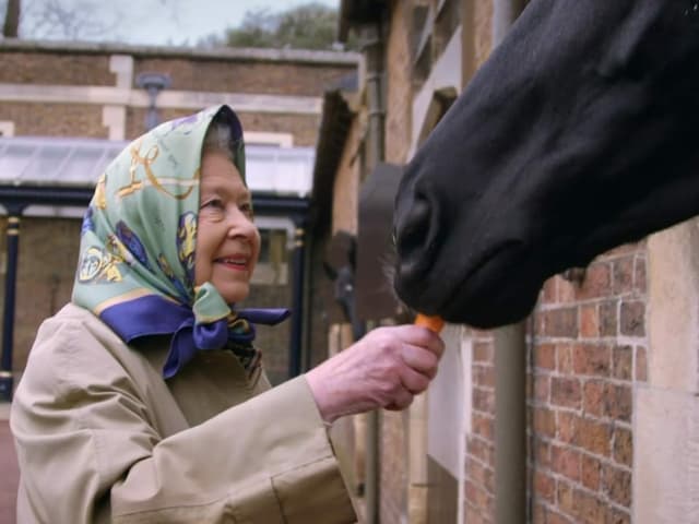 Elizabeth füttert ein Pferd mit Karotten.