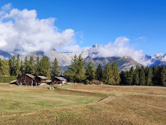 Berge mit Wald im Vordergrund und Holzhütten.