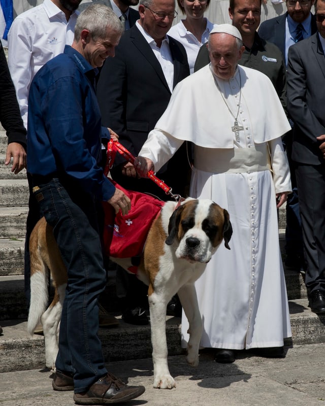 Zwei Männer streicheln einen Hund.