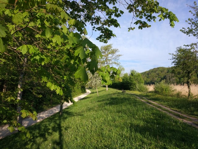 Weg entlang einer Auenlandschaft.