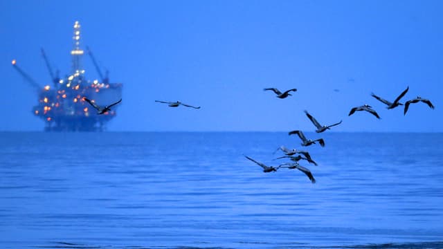 Aufnahme einer Ölplattform. Im Vordergrund fliegen ein paar einsame Möwen.