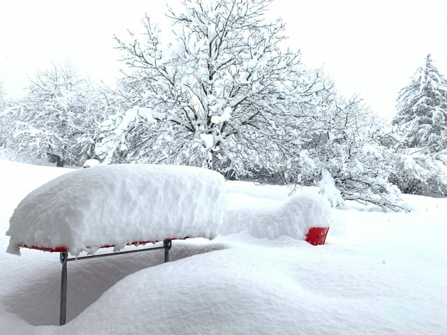 Snow covered seats in the garden.