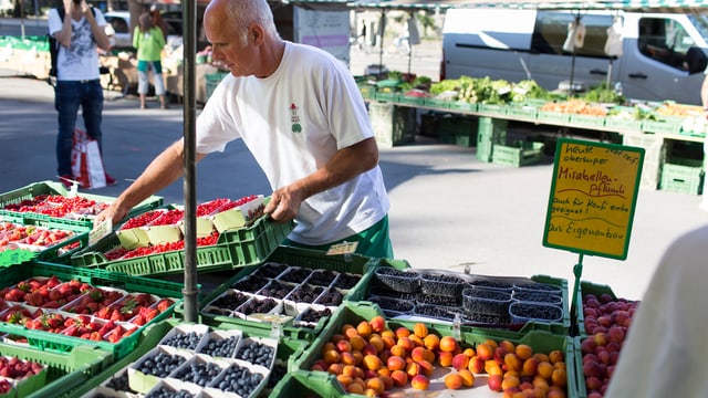 Viele Sorten sind dieses Jahr besonders süss geraten: Kirschen, Aprikosen, Erdbeeren und bald auch Äpfel und Birnen gefielen die vielen Sonnenstunden.