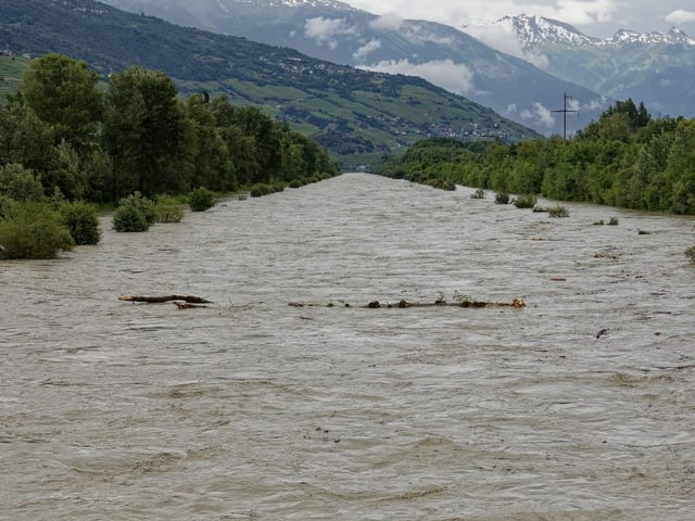 Le Rhône depuis le Pont de l'UTO, Uvrier. (Commune de Sion)
Vendredi 21 juin 2024 à 14h17