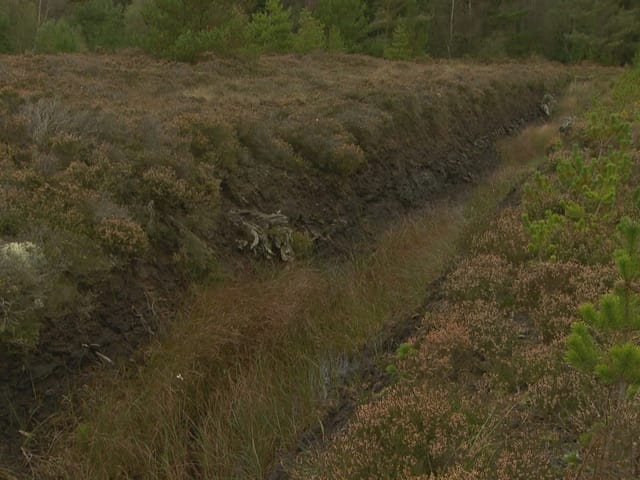 Blick auf Feld mit einer Grube, die von Gras überwachsen ist