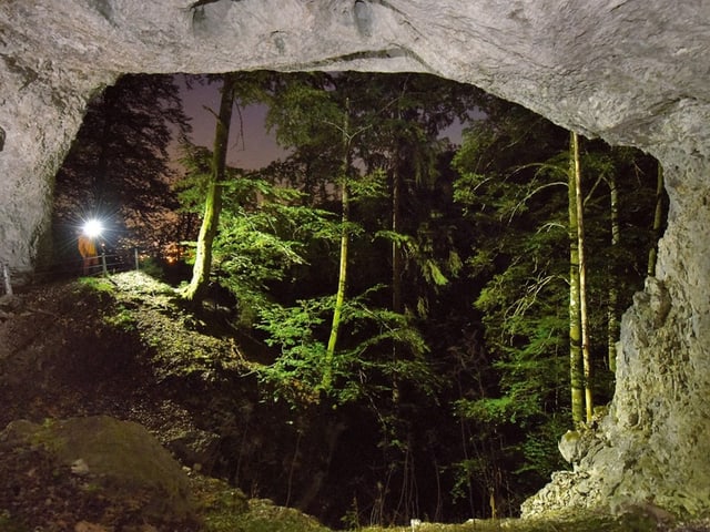 Beleuchteter Höhleneingang mit Blick auf Bäume bei Nacht.