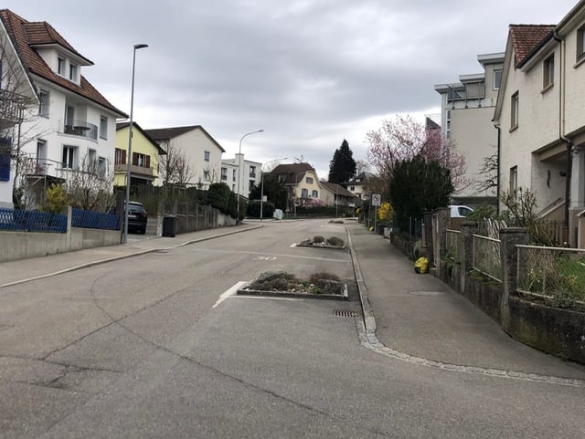 Grünrabatte auf einer Quartierstrasse in Olten. 