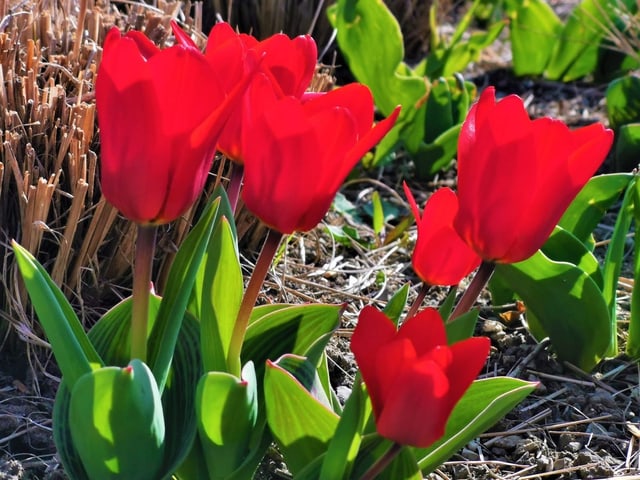 Hello Frühling: Der Frühling ist definitiv da!