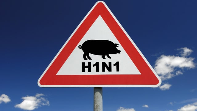 Verkehrsschild mit einem Schwein und der Aufschrift H1N1