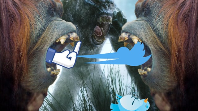 Zwei Orang Utans, die sich mit Facebook-Stinkefinger und Twitter-Vogel anbrüllen.