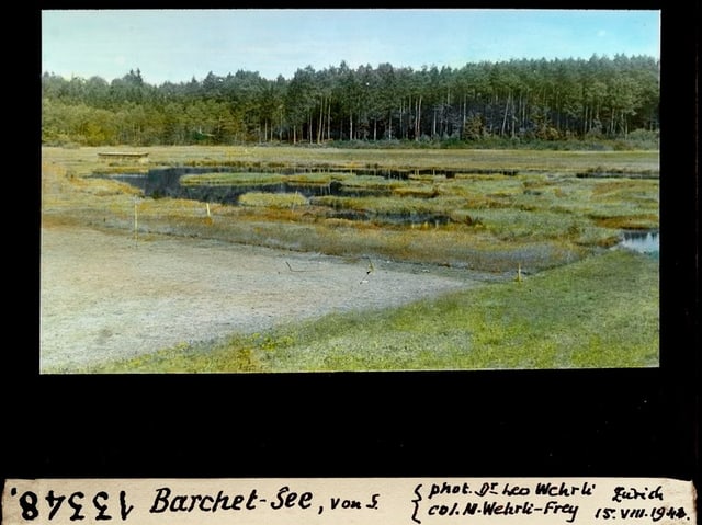 Historisches Foto des Barchet-Sees mit trockenem Uferrand und umgebendem Wald.