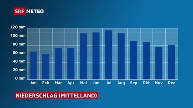 Monatsaufstellung der Niederschlagsmenge