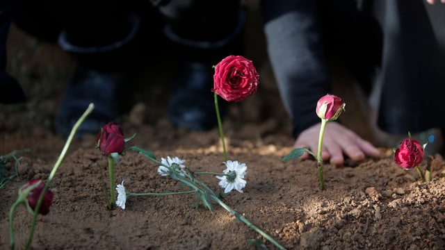 Blumen im Sand eingsteckt