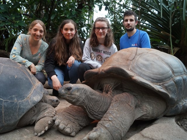 Anna, Lisa, Anastasia und Tierpfleger Chris Leiss mit Riesenschildkröten.