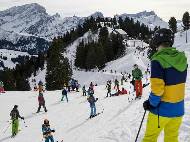 Viele Skifahrer auf einer Piste.