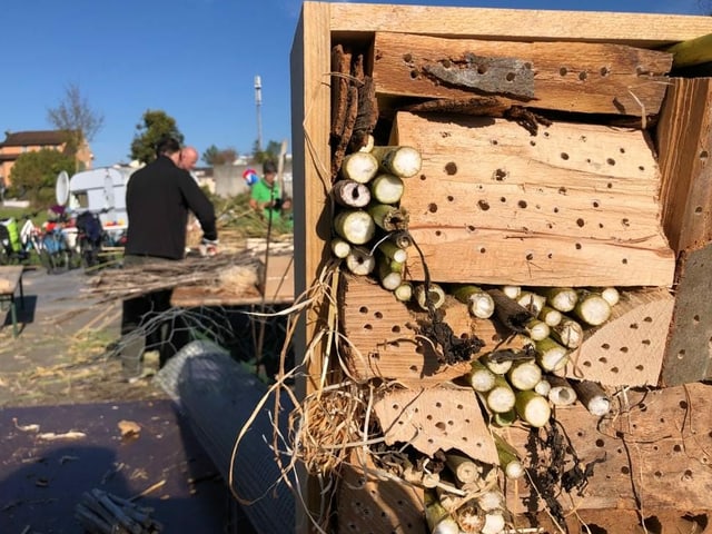 Holzkisten, gefüllt mit verschiedenen Hölzern.