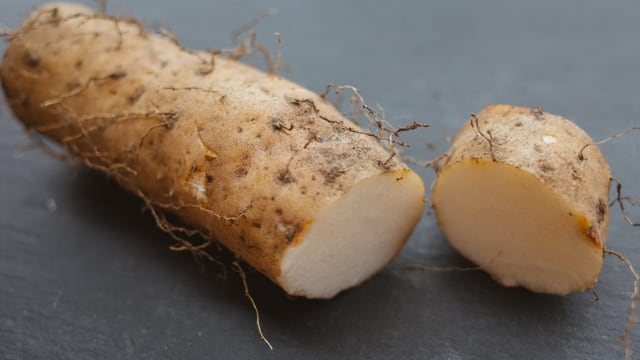 Oder auch Yamswurzel genannt, kommt ursprünglich aus Asien und ihre Blüte riecht leicht nach Vanille.