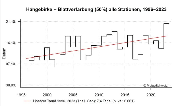 Blattverfärbung: 7,4 Tage später