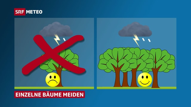 Piktogramm: links Mensch unter Baum, rechts Mensch im Wald.