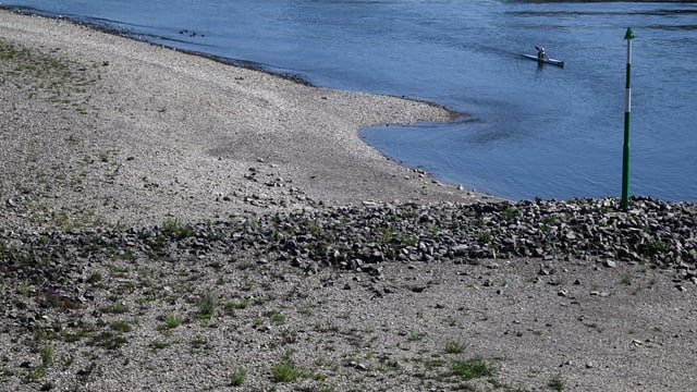 Tiefer Pegelstand des Rheins bei Düsseldorf (11.08.22)