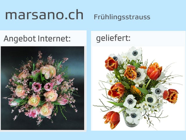 Vergleich Blumensträusse Angebot und tatsächliche LIeferung.