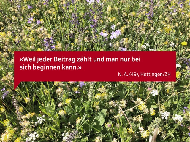 Weil jeder Beitrag zählt und man nur bei sich beginnen kann. N.A. 49, aus Hettingen/ZH