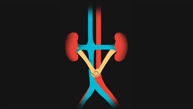 eine kreative Visualisierung von Venen, Arterien, Lungen und Händen