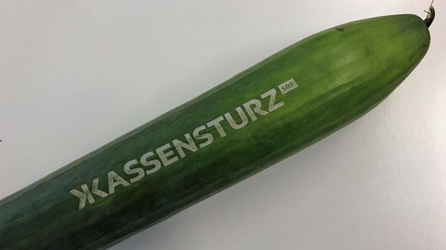 Salatgurke mit Kassensturz-Logo.